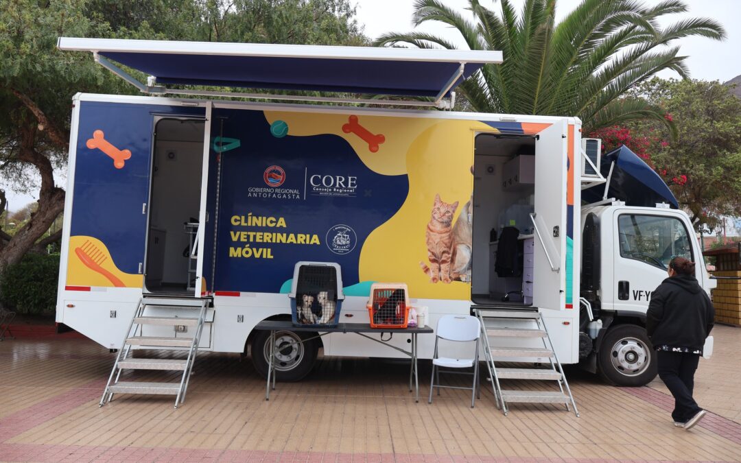 Jornada de adopción en Taltal buscó hogar para cachorros y acercó atención veterinaria a la comunidad